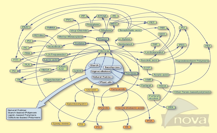 Biobased Chemicals, Polymers & Additives